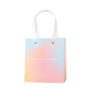 漸變高級感 PP 磨砂禮品袋