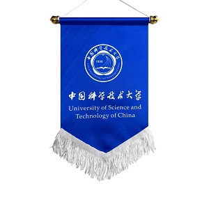 雙面大學交換旗