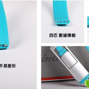 2-in-1 data transmission line