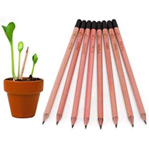 Seed pencils