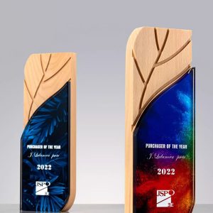 Solid wood crystal trophies