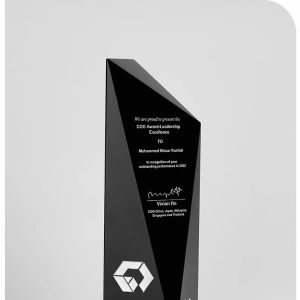 Black geometric crystal trophies