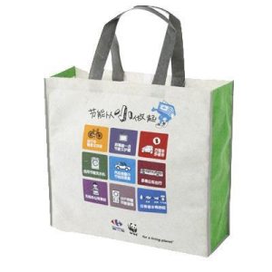 Shopping in eco-friendly bags