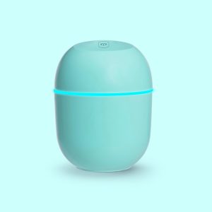 Creative oval humidifier