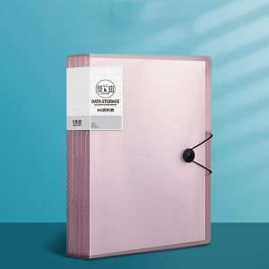 Buckle transparent waterproof folder