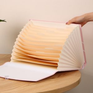 Minimalist Organ Bag Folder